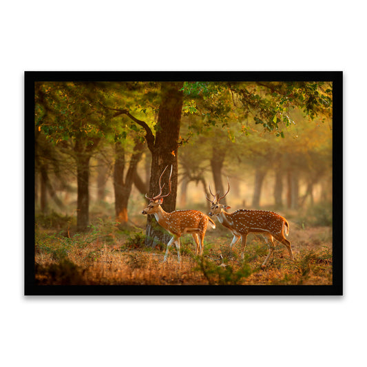 Gesichtete Hirsche – Spaziergang im goldenen Wald