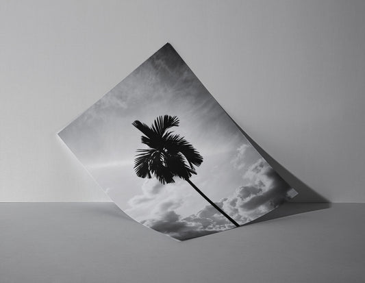 Einsame Höhe - Schwarz-Weiss Palme