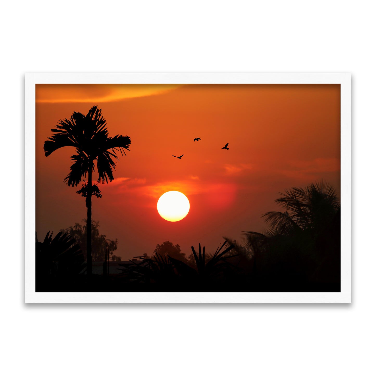 Night Mode Loading - Tropisches Sonnenuntergang