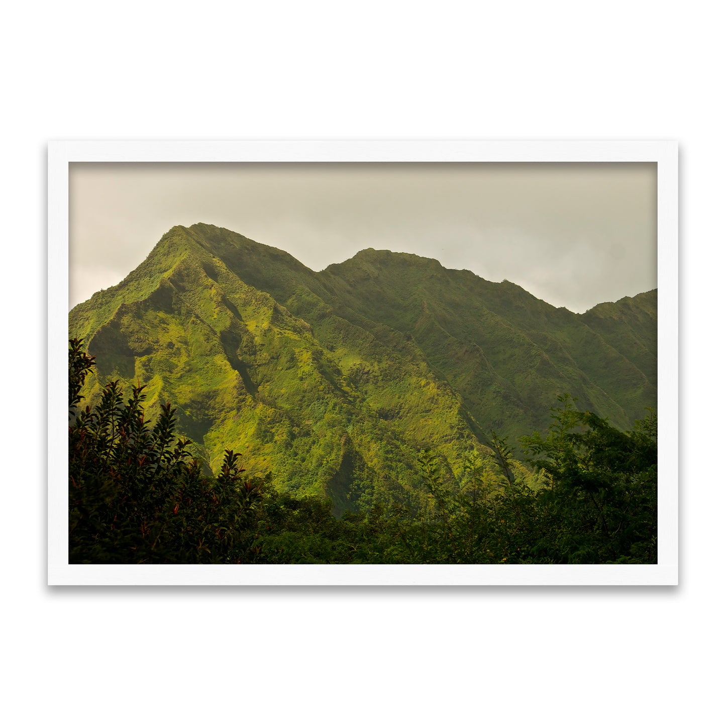 Schlafender Riese - Vergessener Land