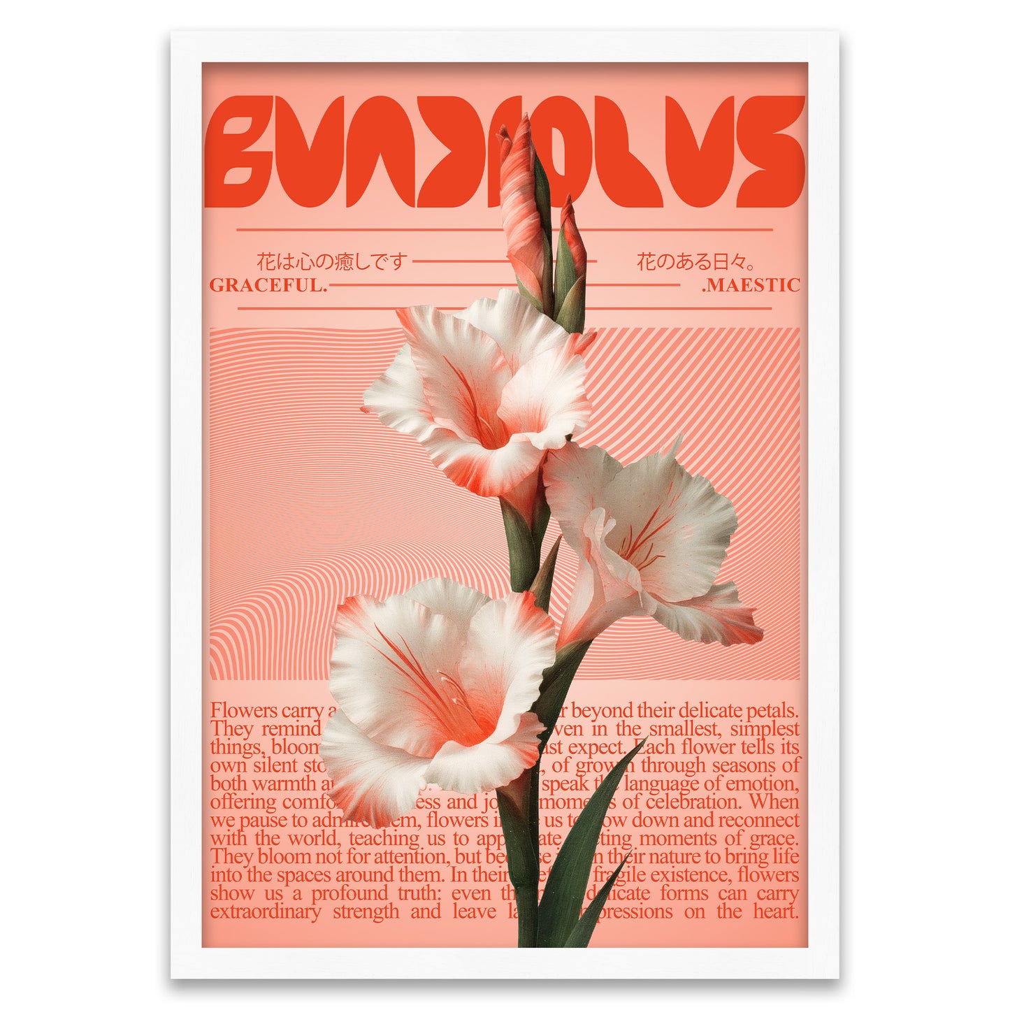 Moderne Botanik - Rosa Gladiole