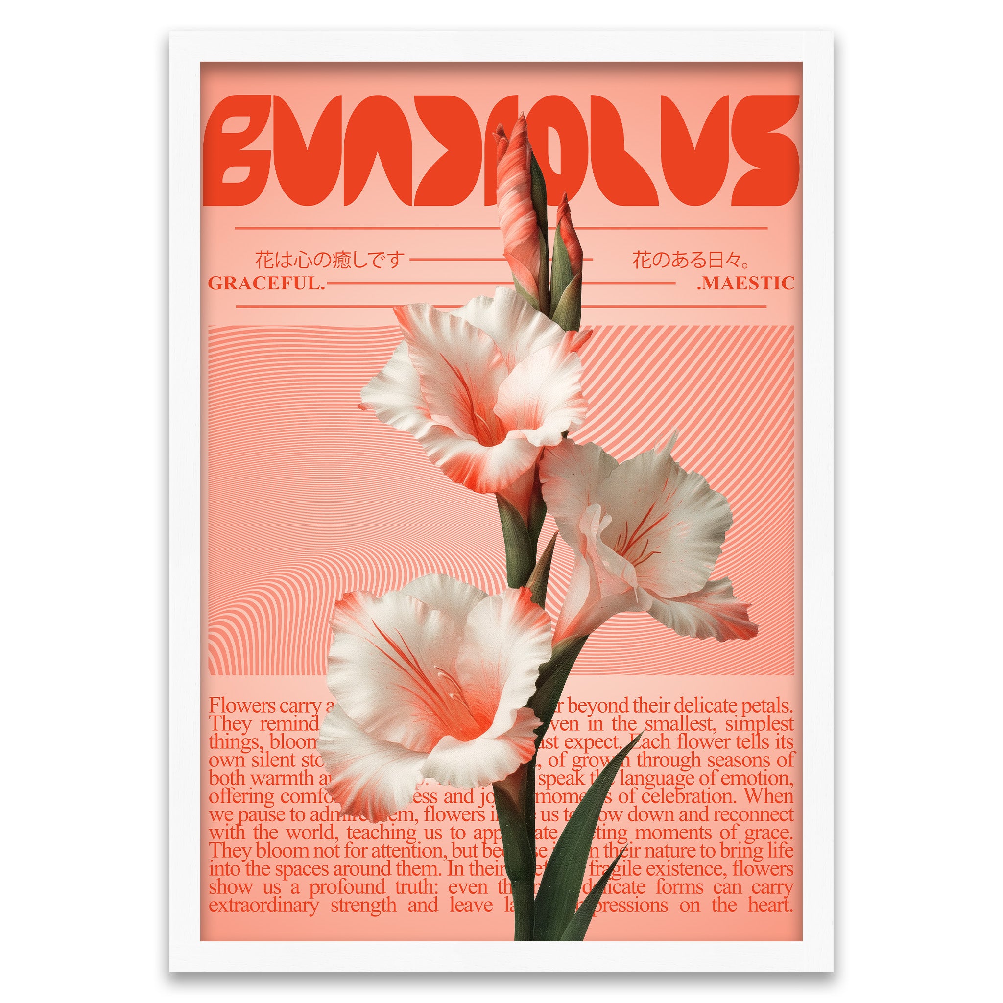 Moderne Botanik - Rosa Gladiole