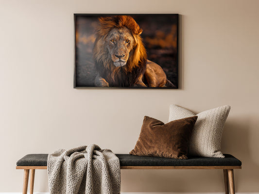 Lion Portrait – The King of the Savannah
