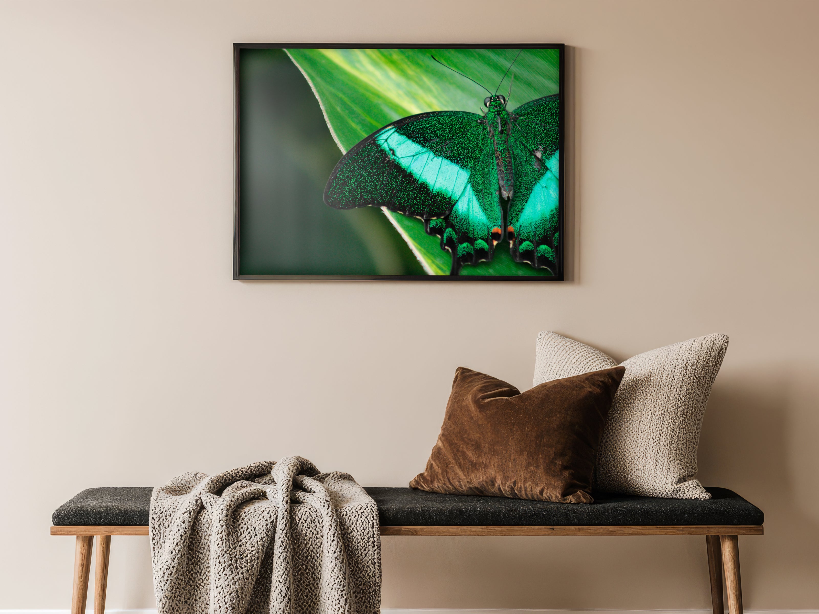 Emerald Swallowtail - Vibrant Butterfly