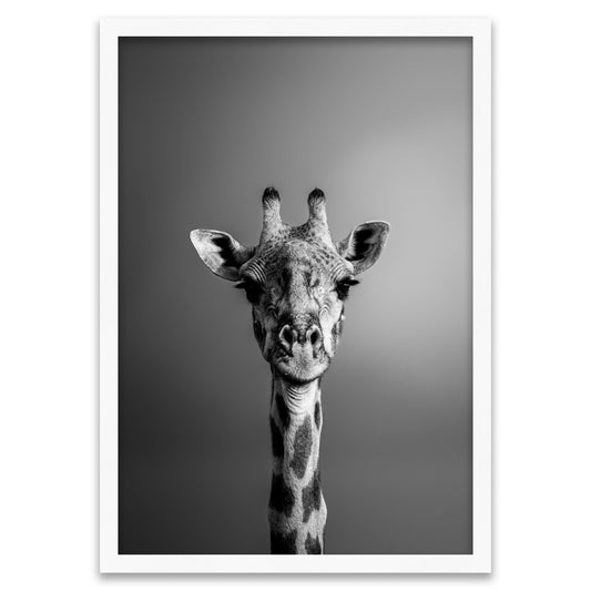 Blick aus der Höhe - Giraffen Porträt