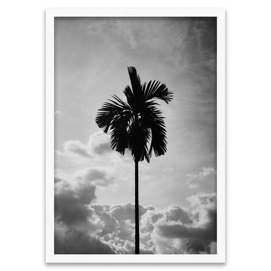 Einsame Höhe - Schwarz-Weiss Palme