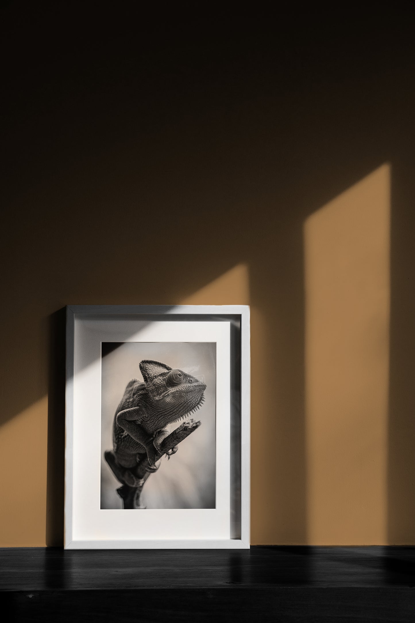 Skin of Stone - Black and White Chameleon