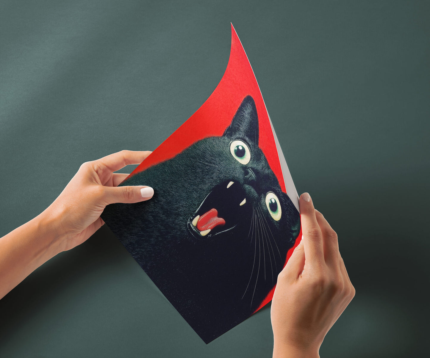 Scared Scream - Black Cat