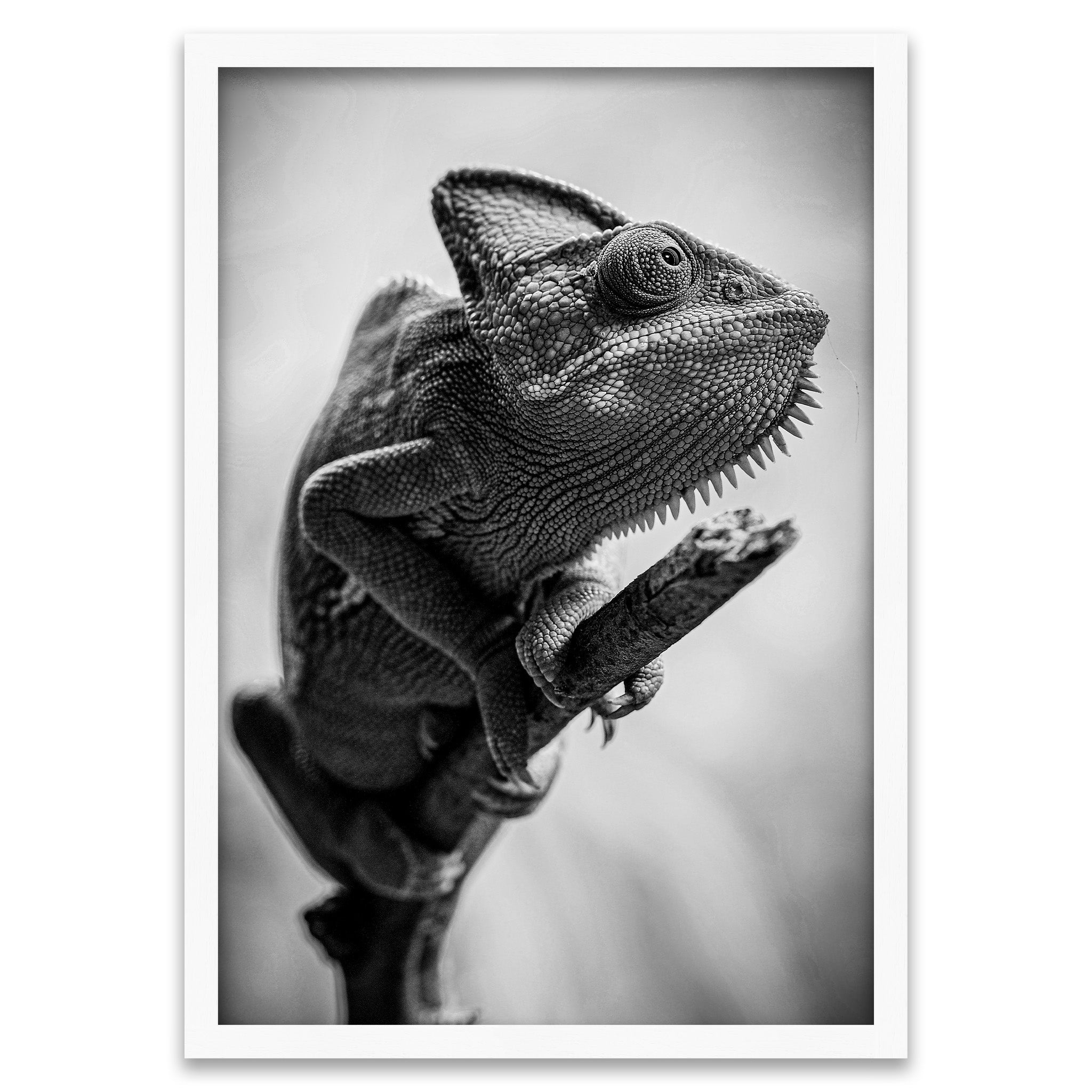 Haut aus Stein - Schwarz-Weiss Chamäleon