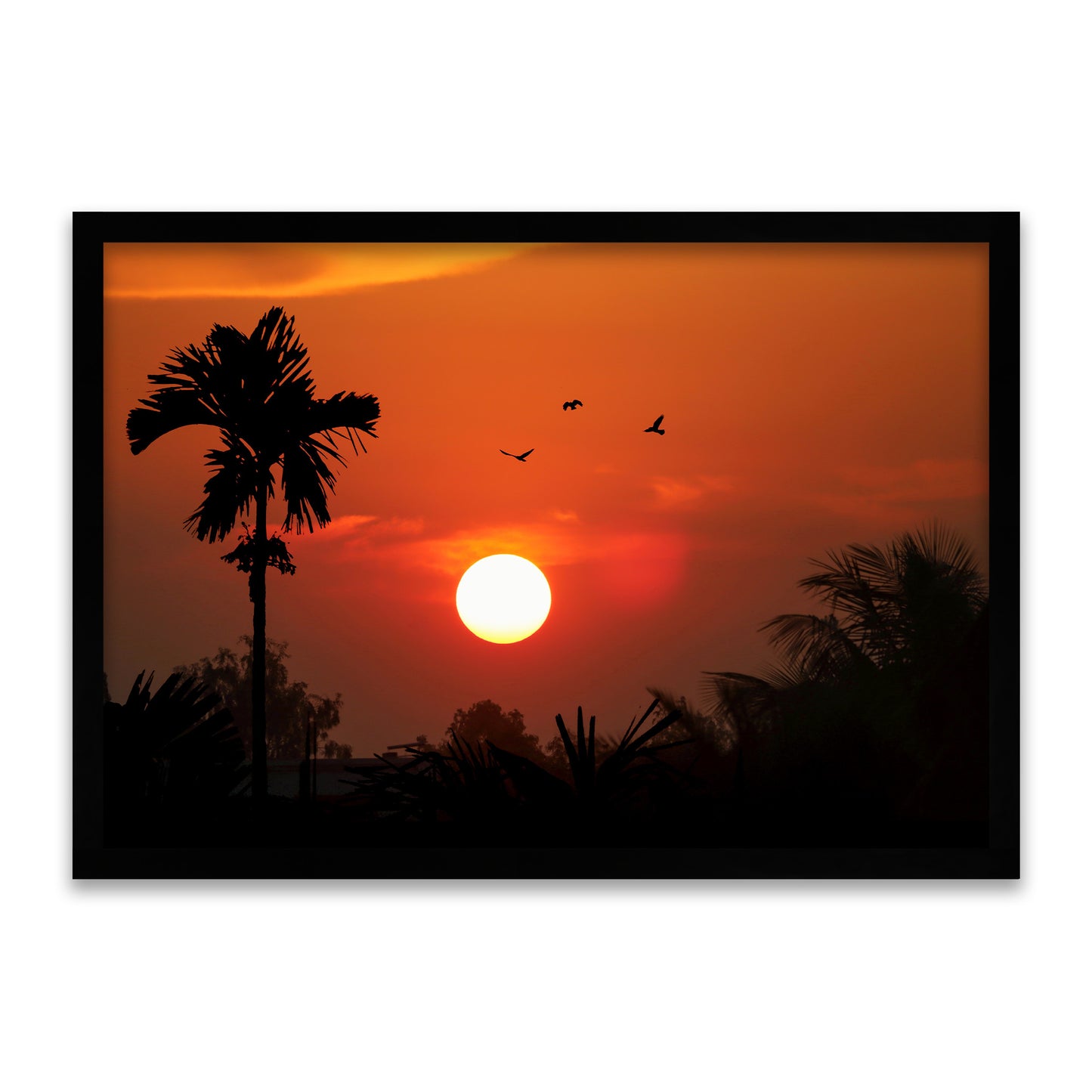 Night Mode Loading - Tropisches Sonnenuntergang