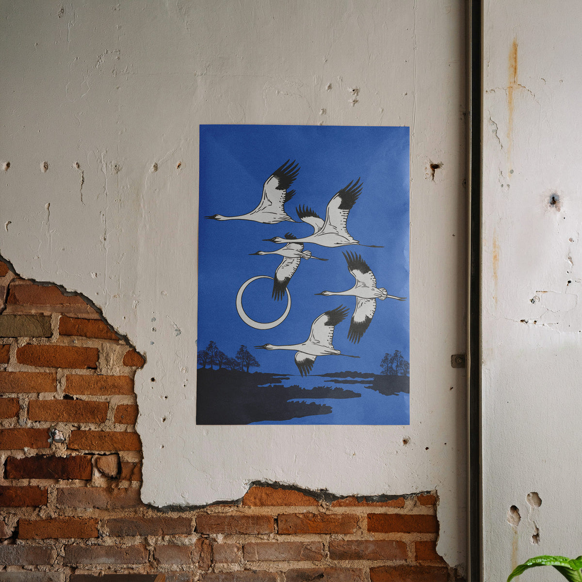 Ewiger Flug - Japanische Kraniche Poster, gerahmt an einer rauen Verputzwand