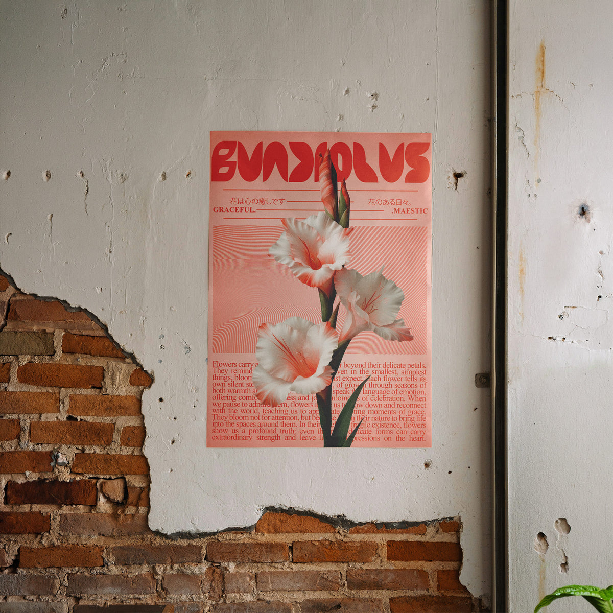 Moderne Botanik - Rosa Gladiole Poster, gerahmt an einer rauen Verputzwand