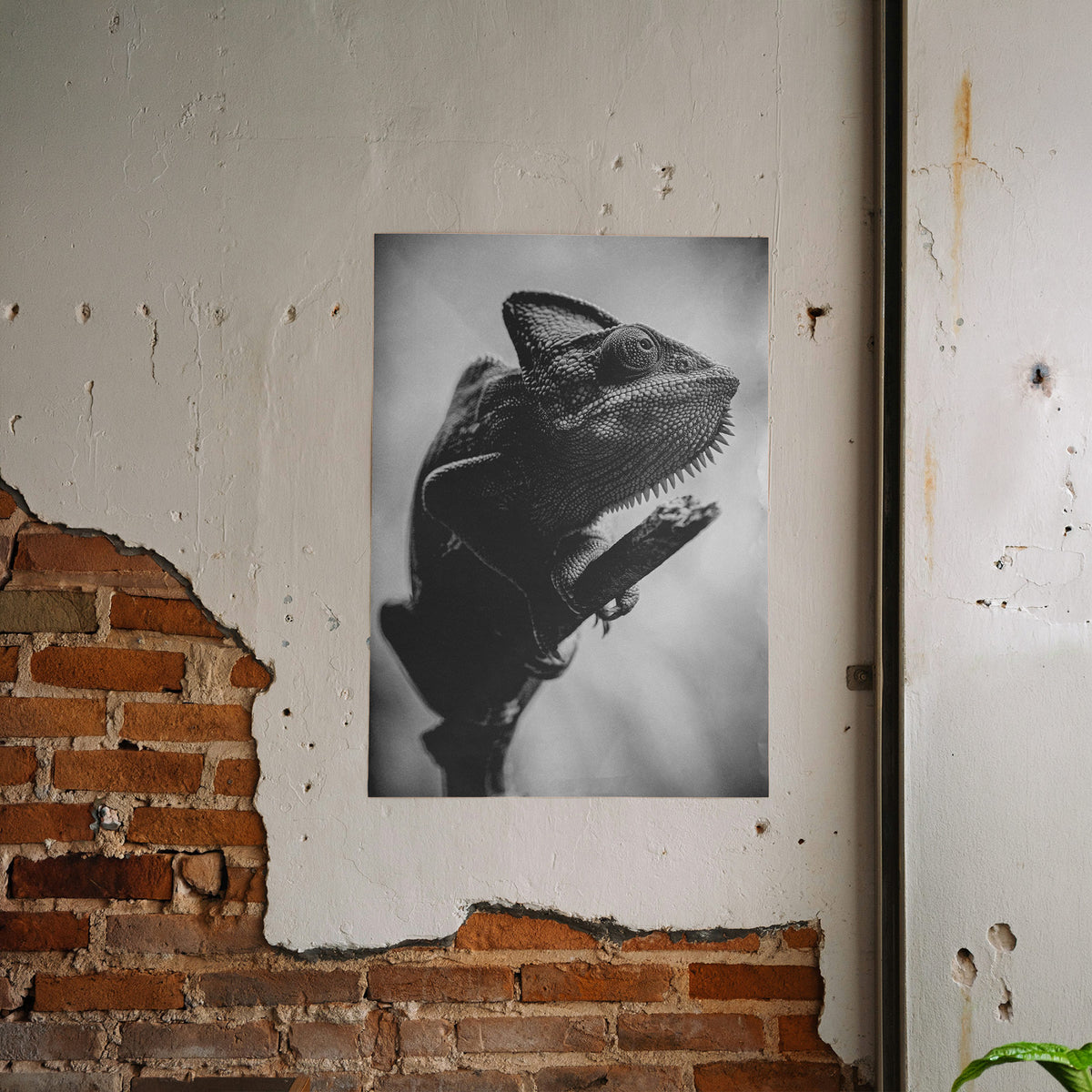 Haut aus Stein - Schwarz-Weiss Chamäleon Poster, gerahmt an einer rauen Verputzwand