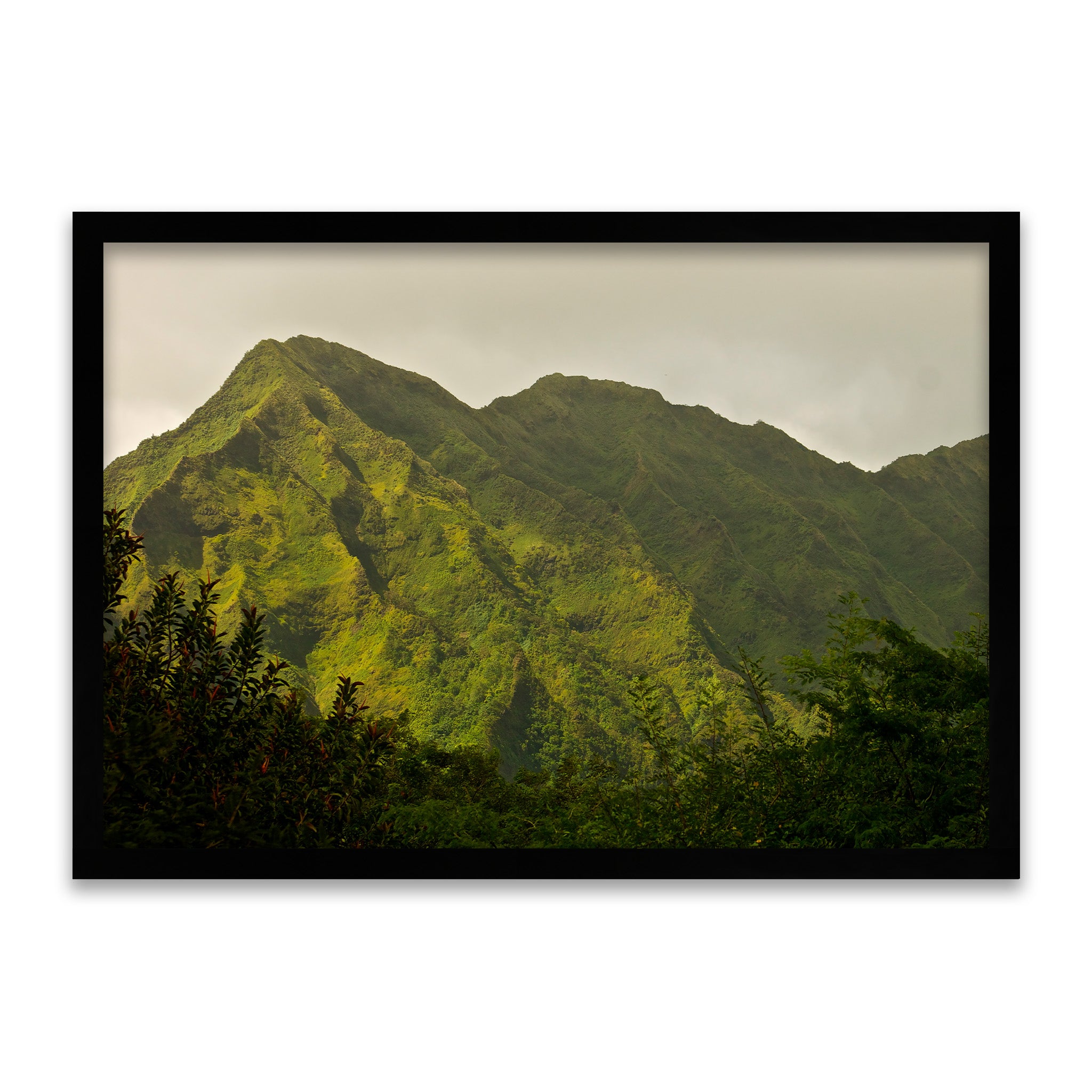 Schlafender Riese - Vergessener Land