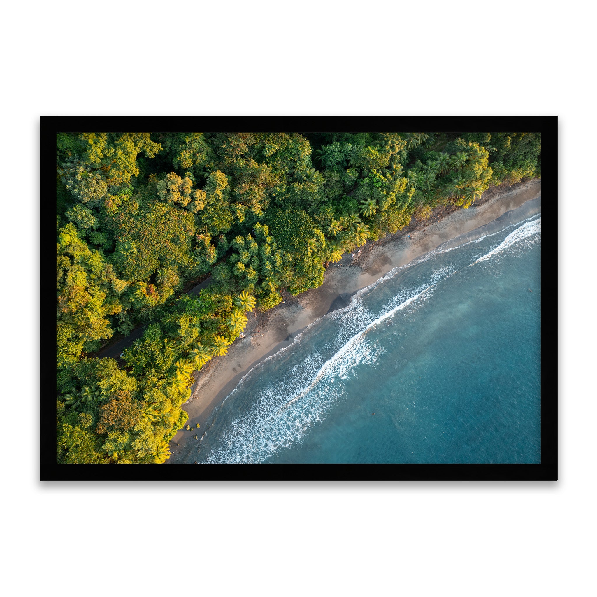 Wo der Wald das Meer küsst - Natur Luftaufnahme