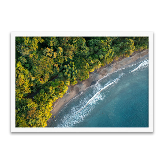 Wo der Wald das Meer küsst - Natur Luftaufnahme