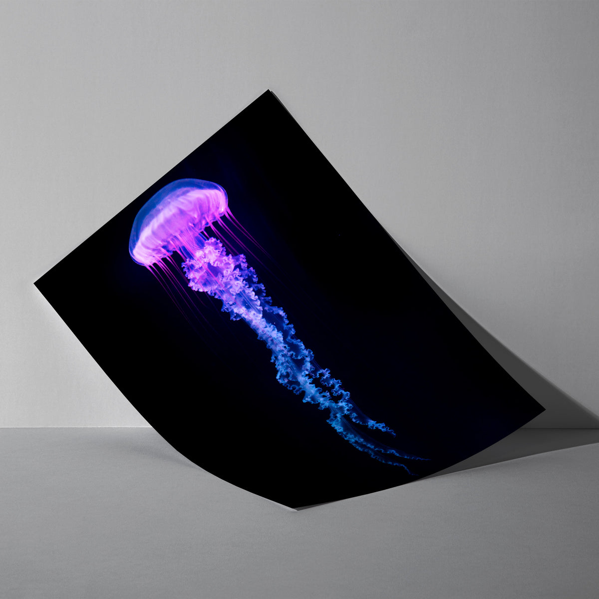 Kosmische Seele - Leuchtende Qualle Poster, als ungerahmtes Blatt an eine Wand gelehnt