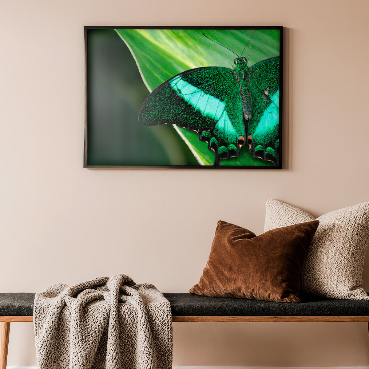 Smaragd-Schwalbenschwanz - Leuchtender Schmetterling Poster, im Querformat, gerahmt an einer Wand