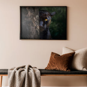 Instinktiver Jäger - Blick des Schwarzen Panthers Poster, im Querformat, gerahmt an einer Wand