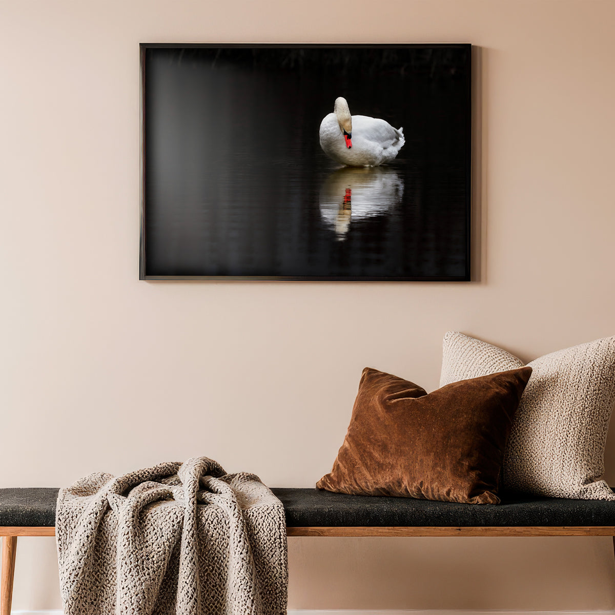 Spiegelbild der Seele - Eleganter Schwan Poster, im Querformat, gerahmt an einer Wand