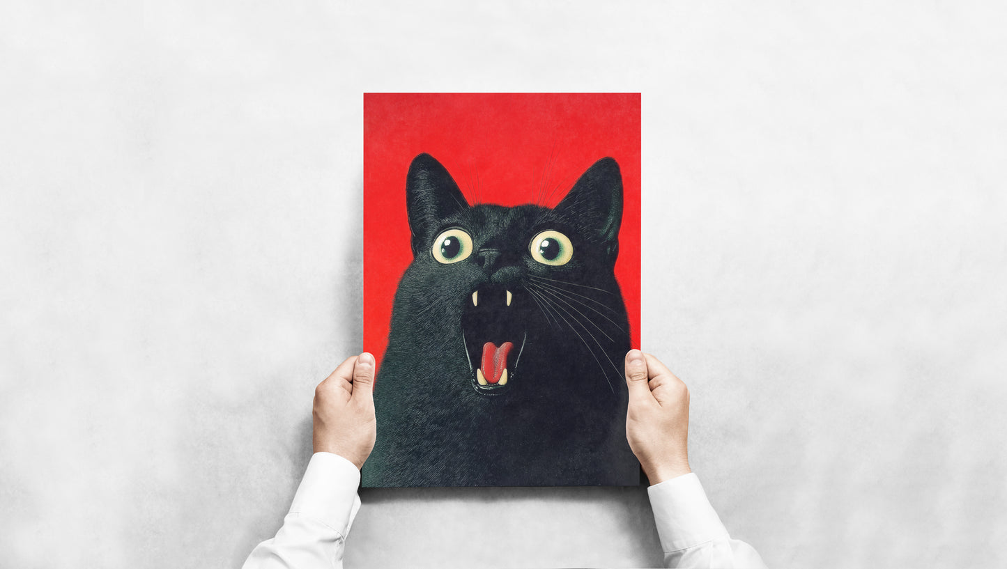 Scared Scream - Black Cat