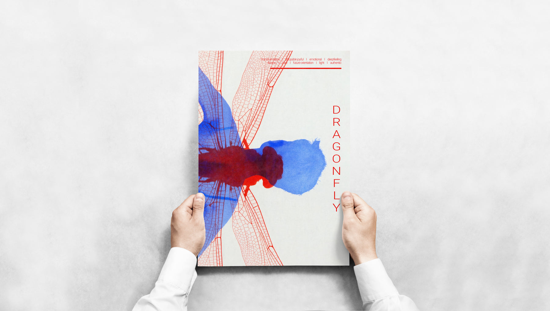 Graphic Anatomy - Dragonfly