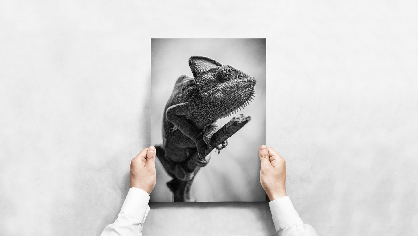 Skin of Stone - Black and White Chameleon