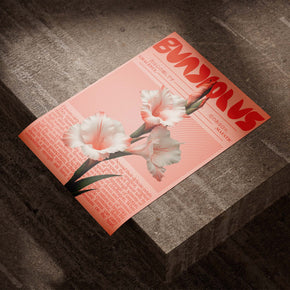 Moderne Botanik - Rosa Gladiole Poster, als ungerahmtes Blatt Papier